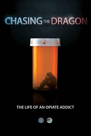 Chasing the Dragon