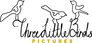 Three Little Birds Pictures